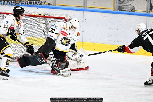 2025-01-25 Mastini Varese-Hockey Feltre 3619 Artur Ohandzhanian